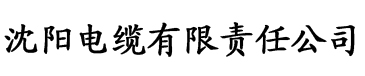 污污视频APP电缆厂logo